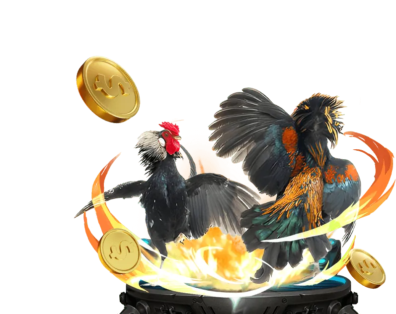 Giao diện ứng dụng đá gà thomo trực tiếp